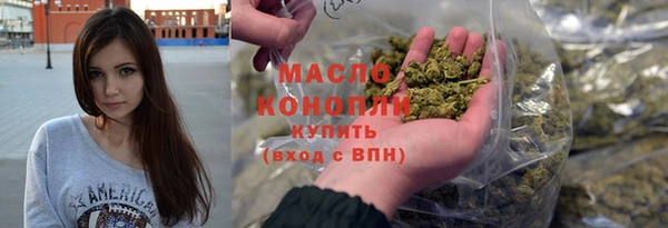 гидра Володарск