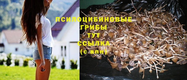 гидра Володарск