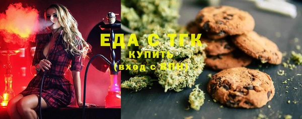 гидра Володарск