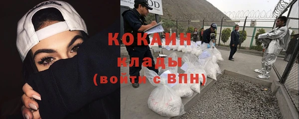 гидра Володарск
