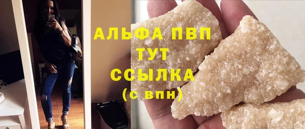 гидра Володарск