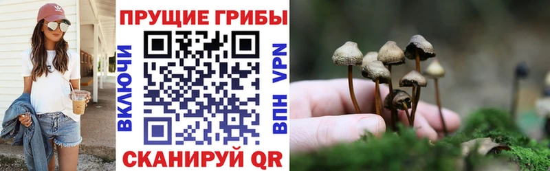 Галлюциногенные грибы мухоморы  где купить наркоту  Дубовка 